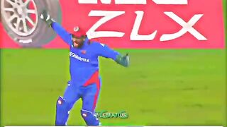 Cricket news 29