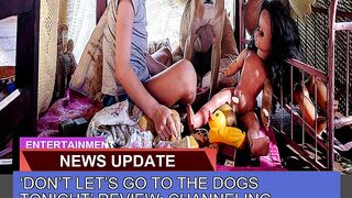 Dont Lets Go to the Dogs Tonight Review Chann