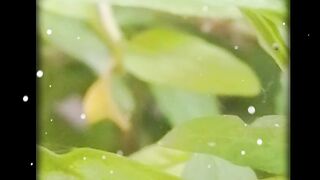 Tange Sadi Zindagi song
