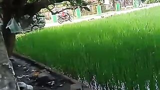 Selamat pagi menjelang siang.