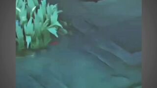 ini saatnya teamslwly doomslwly
