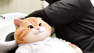 Animated video 97