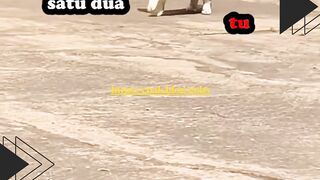 Kucing Ini Berbakat Jadi Aktor! Dubbing-nya Bikin Ngakak!