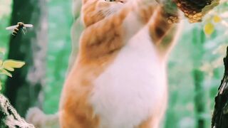 Cat Climbs Tree and Fights Bees with a Stick