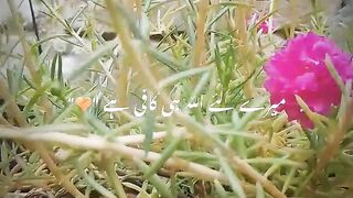 میرے لیے اللہ ہی کافی ہے