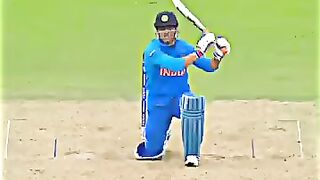 Cricket news 45