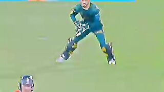 Cricket news 46