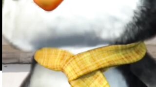 Cute penguin saying some secret