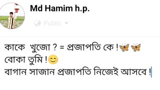 Hamim 6