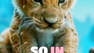 The Brave Prince Lion  Inspiring Animal Story