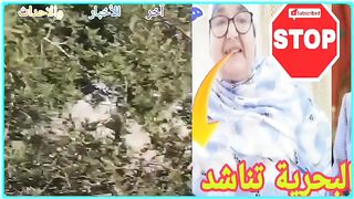 شفاطمة البحرية تناشد الملك وكل المغاربة بسبب حكومة اخنو
