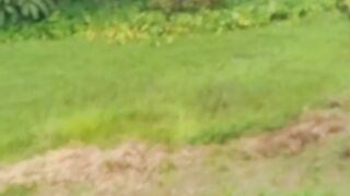 My New video clip