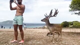 ممنوع التصوير