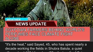 Egyptian Farmers Behind Worlds Perfumes Face Clim