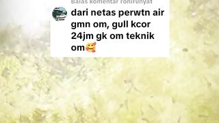 Cara perawatan air kolam sejak larva lele menetas dari telur