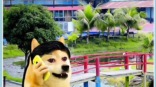 ছযক দয গছ গ  reelsvideoシ comedy funny