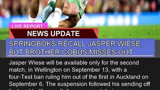 Springboks Recall Jasper Wiese But Brother Cobus