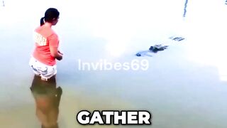 Florida Woman Close Encounter with A Ginormous Alligator