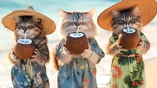 cute bestis are in beach