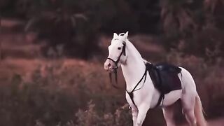 New trending song 19