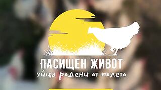 КАКВО Е ТОВА ПАСИЩНИ КОКОШКИ?