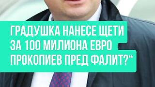 ГРАДУШКА Е НАНЕСЛА ЩЕТИ НА ПАРКА НА ПРОКОПИЕВ