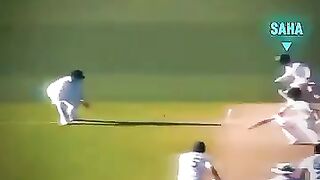 Cricket news 71