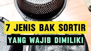 7 Jenis bak sortir yang WAJIB kalian miliki disegmen pembesaran lele