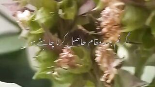 Insan ko kabhi himmat Nahin harni chahie
