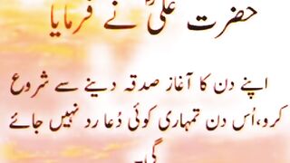 Farman 4