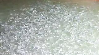 Buat kolam yang rapih, jaga selalu kebersihan kolam, agar ikan lele betah dan sehat