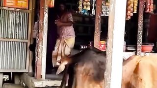 Funniest 13