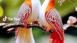 beautiful birds tranding song video foryou 2