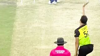 cricket 23