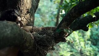 दखय कस जगल कट कर आदवसय क जगल स नकल रह ह