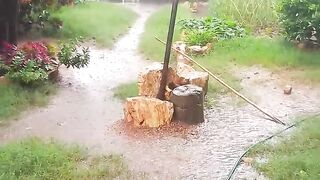 The sound of rain