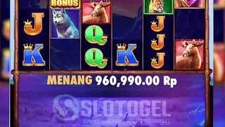slotogel 97