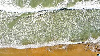 Beautiful Nature 23