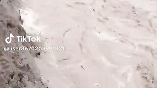 Best New video 2