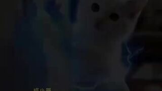 Fun moments and endless laughter  Subscribe now!لحظات ممتعة وضحك بلا حدود  اشترك الآن! 3