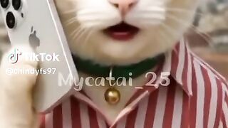 Animasi Kucing Komunikasi Lucu