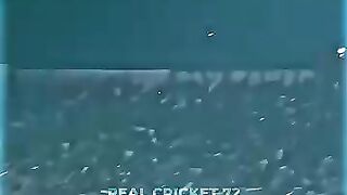Cricket news 81