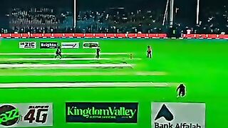 Cricket news 87