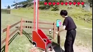 funnyvideos 7