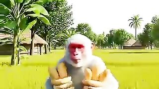 Animated video 114
