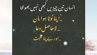 Farman 5