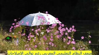 ضعف النظام التعليمي المغربي رغم توالي الإصلاحات