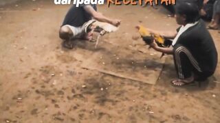 DAFTAR BOSPLAY AGEN SABUNG AYAM ONLINE TERBESAR  RESMI AMAN DANA TERPERCAYA