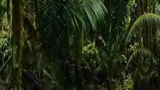 sound of the jungle