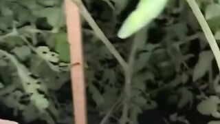 Funny second
